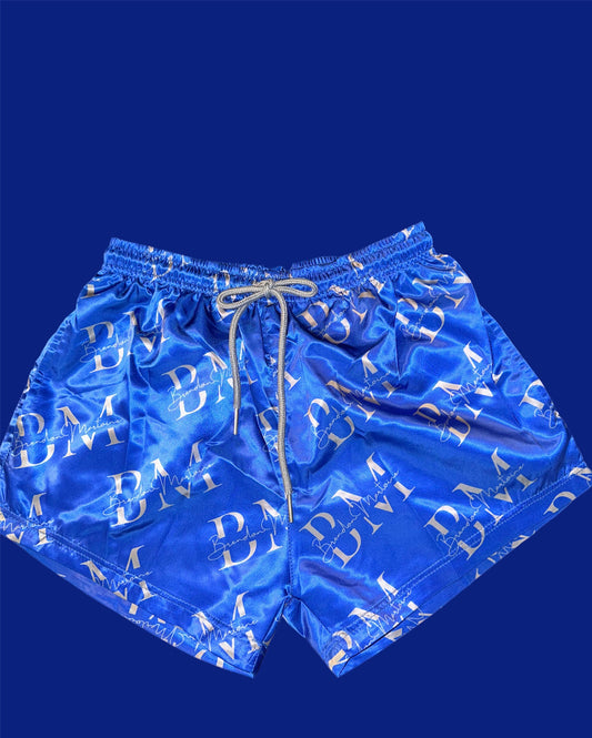 Blue and Grey Satin Shorts